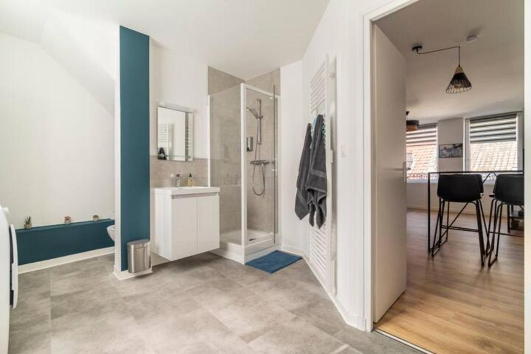 Voyage En Duplex En Hyper Centre * Valenciennes